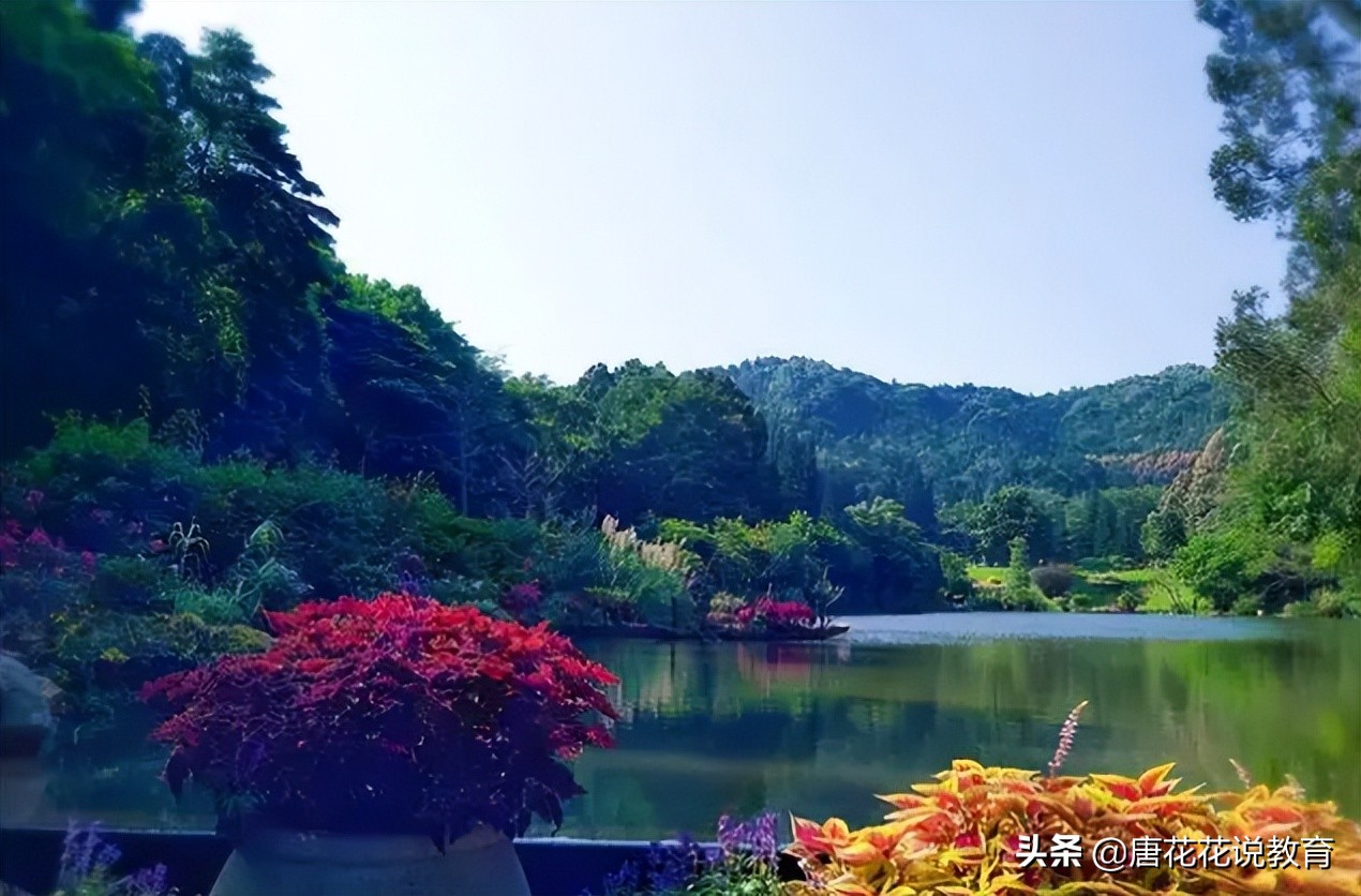 深圳地铁8号线可以看海吗,深圳地铁15号线游玩攻略路线