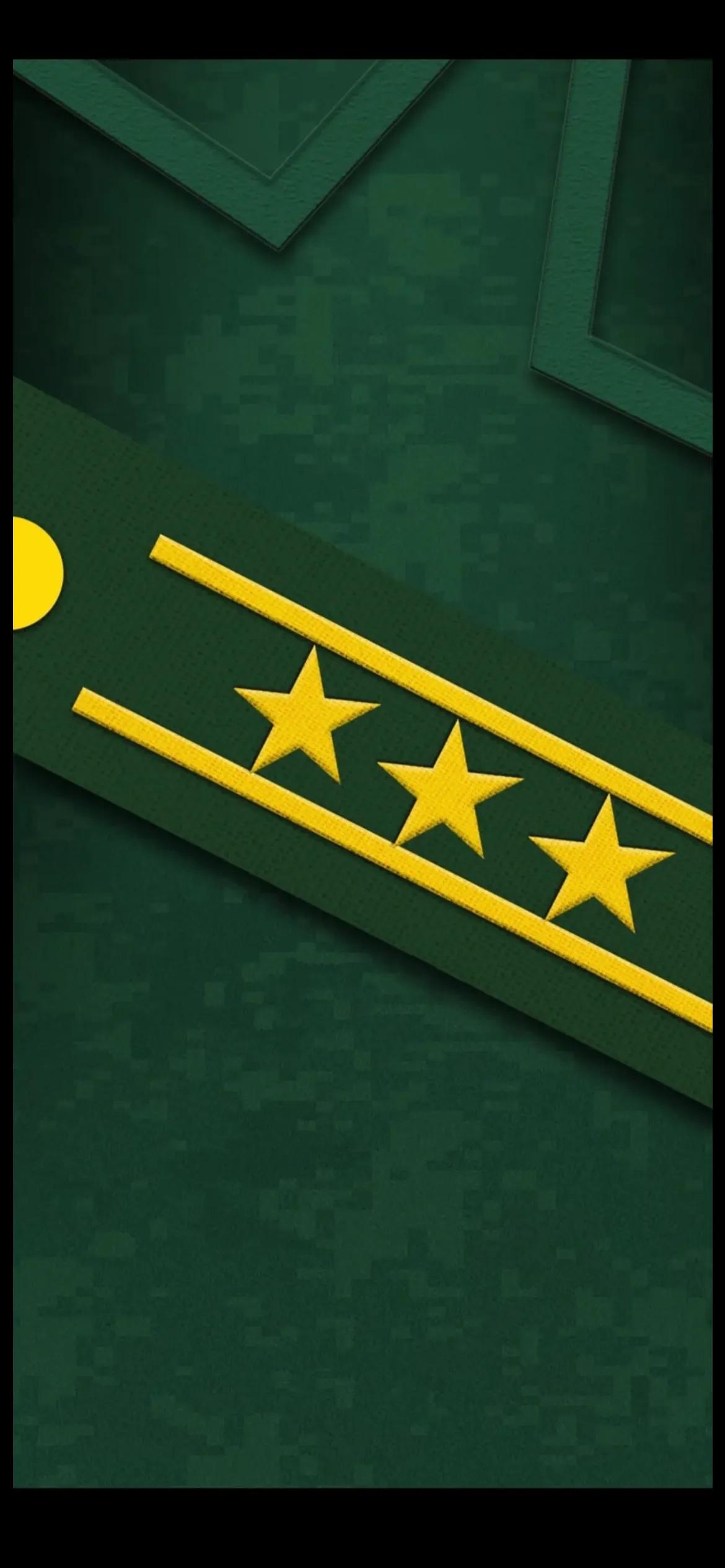 手机壁纸｜人民*警武**军衔等级肩章系列全套手机壁纸