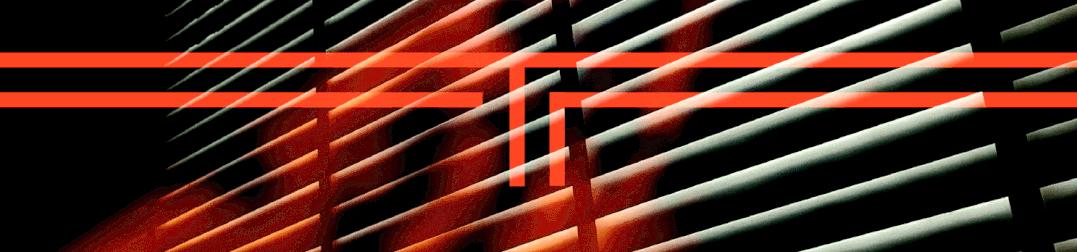 体育赛事版权的定义,体育赛事如何应对版权