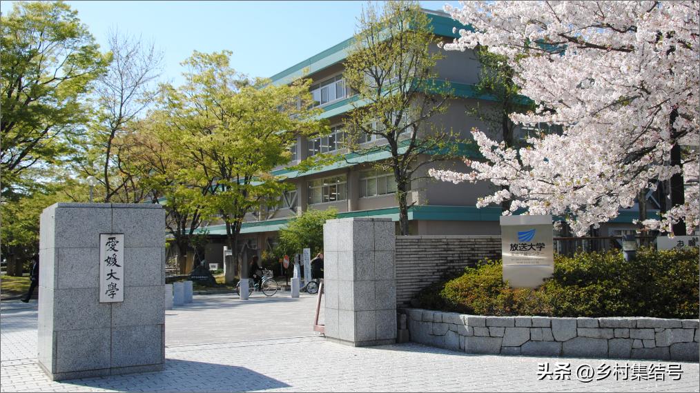 日本爱媛县柑橘,日本爱媛县柑橘研究所