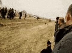 新手为什么不养鳄龟,养了一年的鳄龟怎么一点都不凶