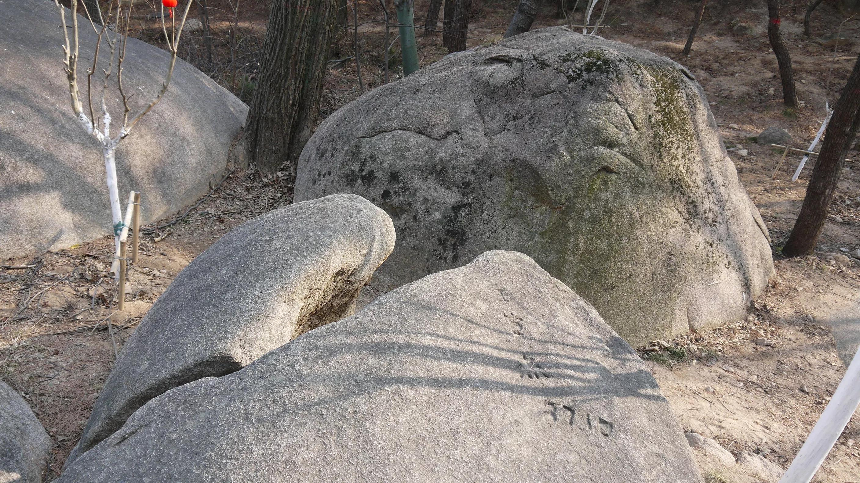 闈掑矝浠板彛鏅尯鍐ぉ,闈掑矝浠板彛鏅尯鎵撳崱