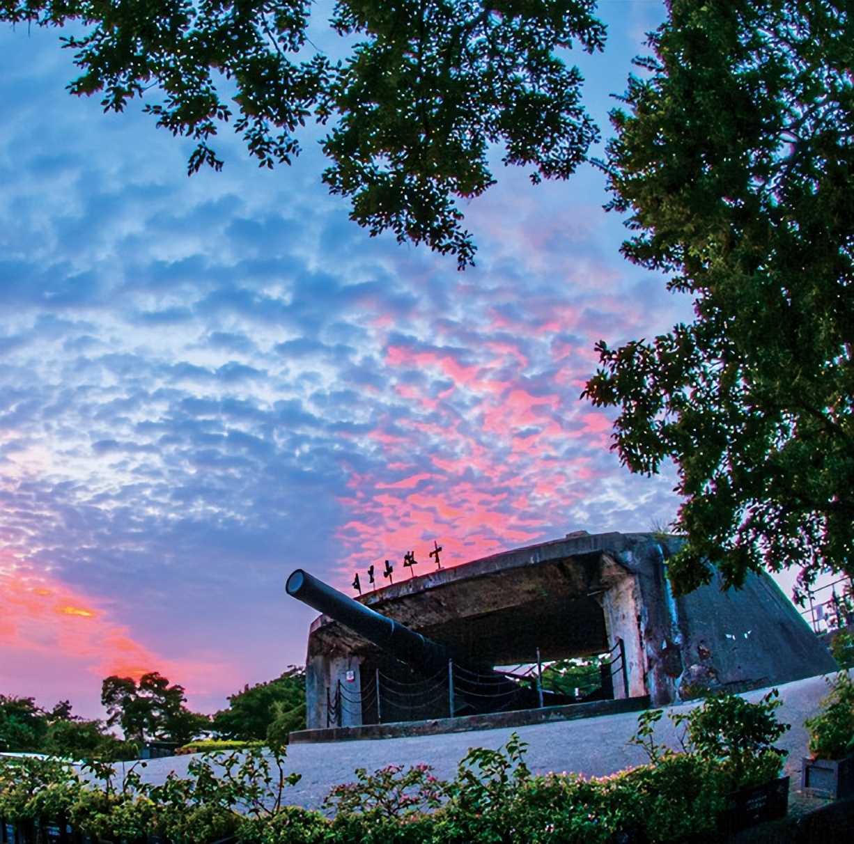 【福建见·闽山闽水物华新】周末“趣”游|乘着夏日的风向海出发，邂逅诗意厦门