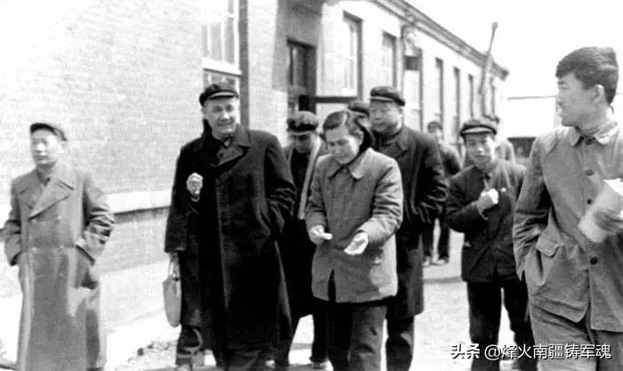 辽宁野生淡干海参,野生辽宁干海参