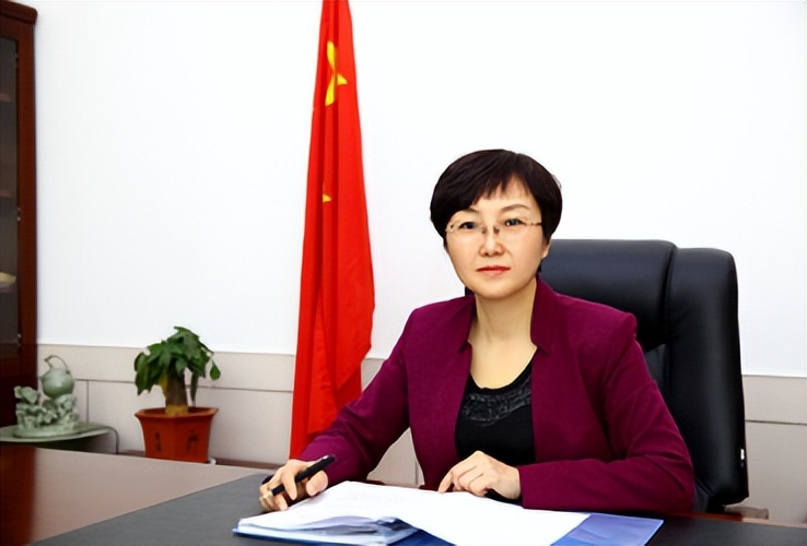 陕西拟任女县委书记,陕西女市委书记名单