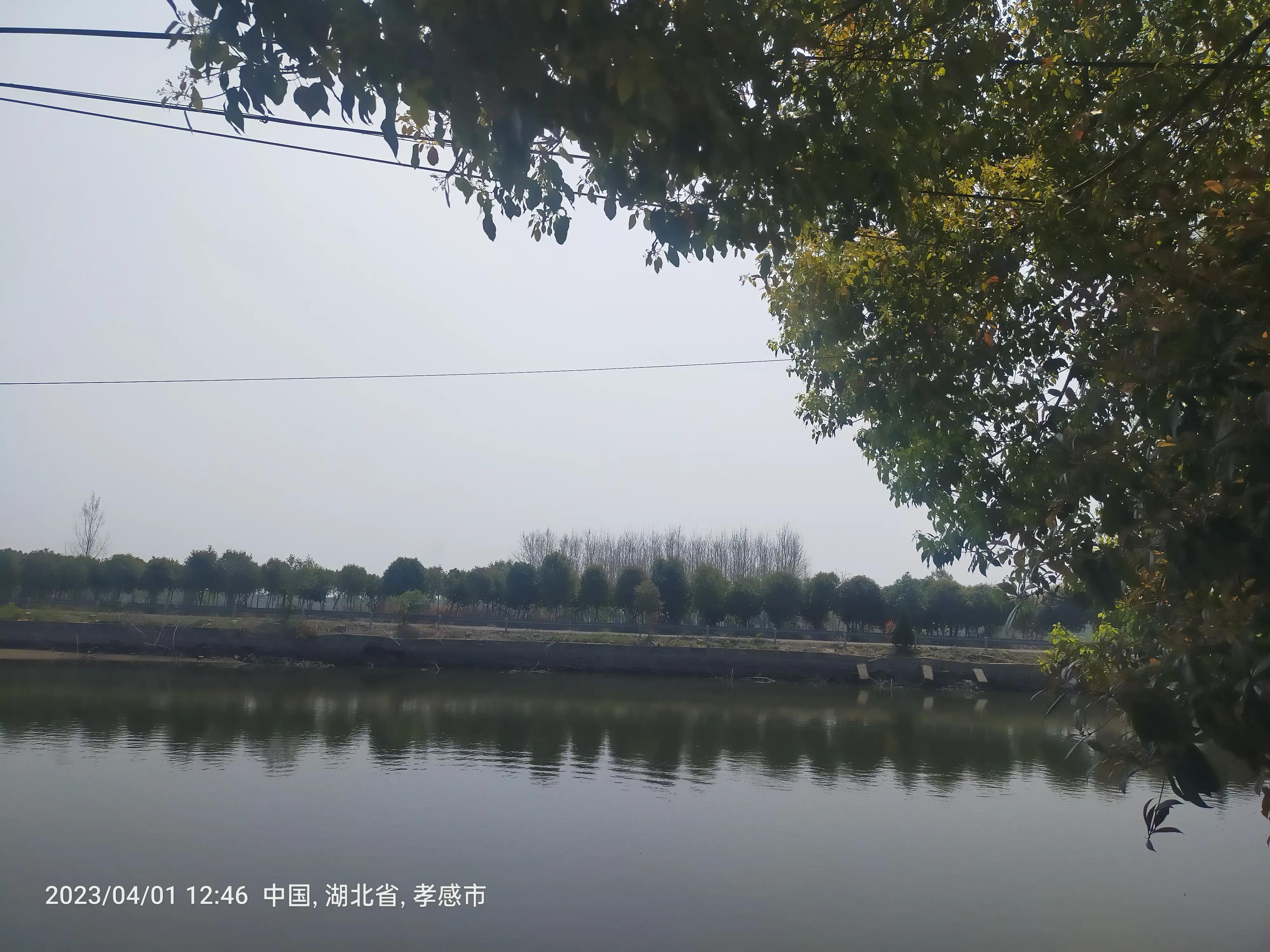 买基金最忌讳的一条,买基金犯什么错误