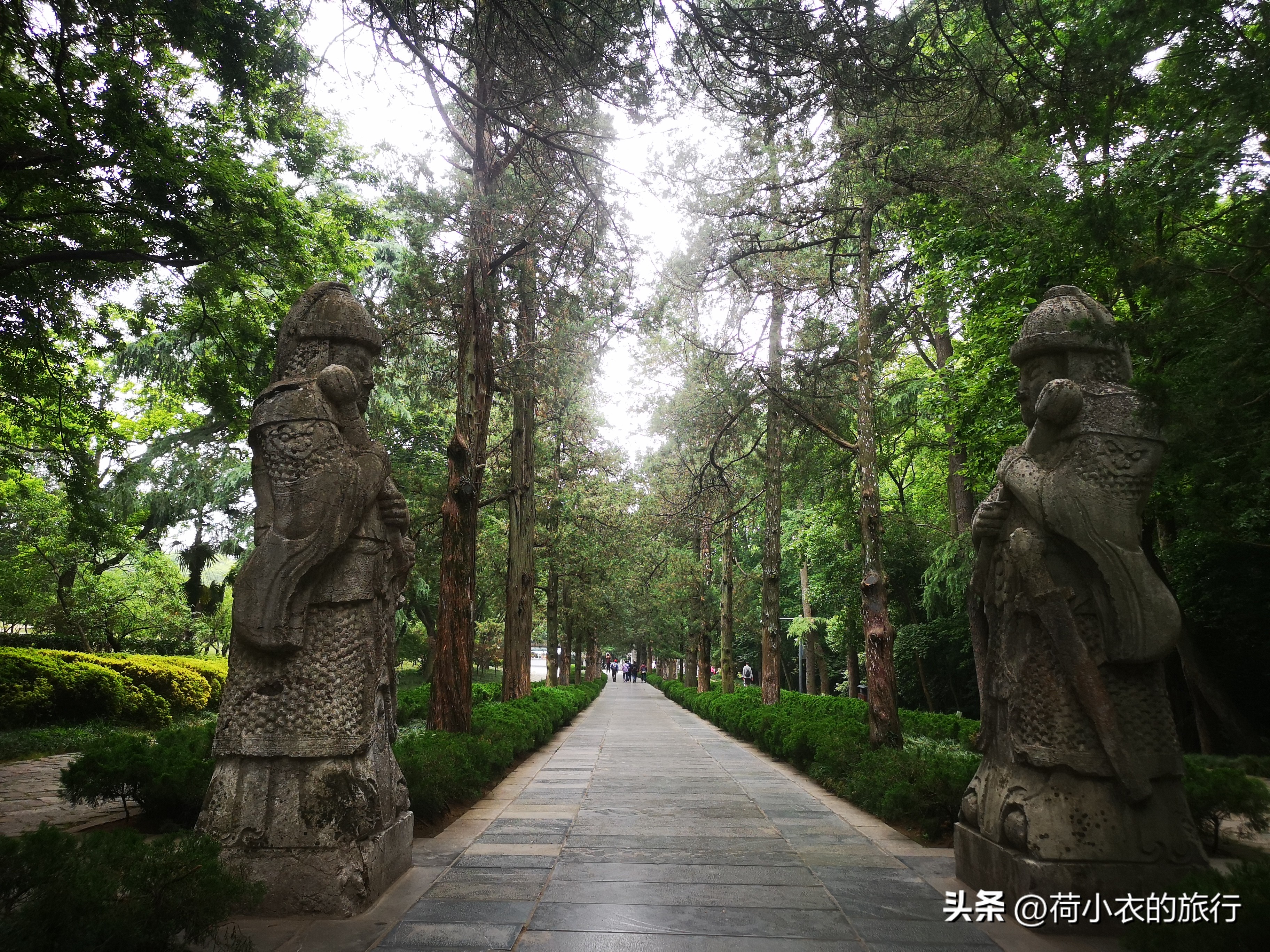 中山陵明孝陵南京博物院旅游攻略,南京明孝陵观赏秋色的最佳时间