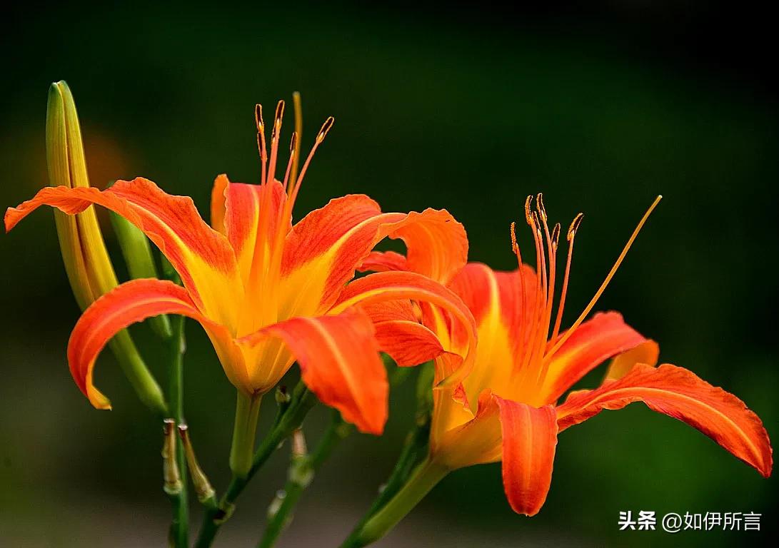 细思极恐还是极思恐极,细思极恐到底是巧合还是天意