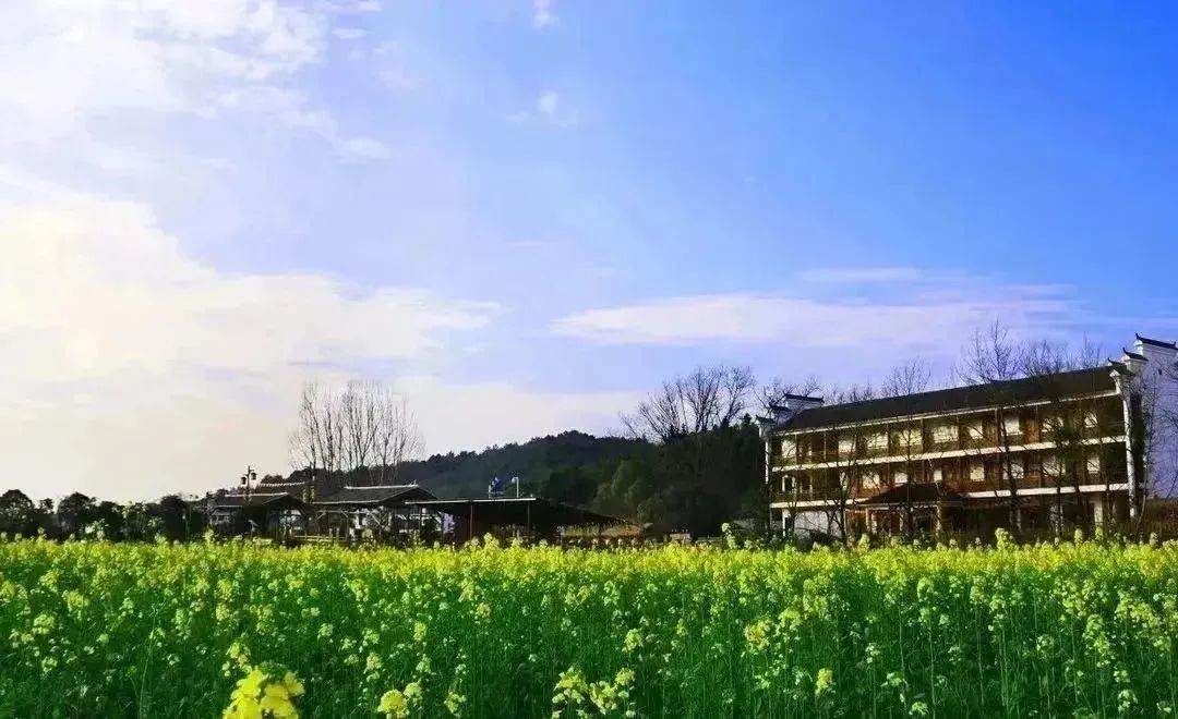 五一假期相约,五一相约一起嗨舞