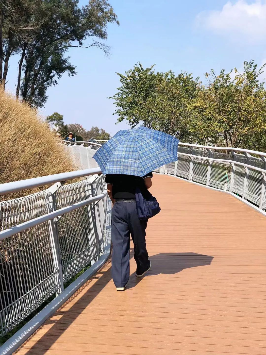 广州云栈道徒步路线,云中漫步广州