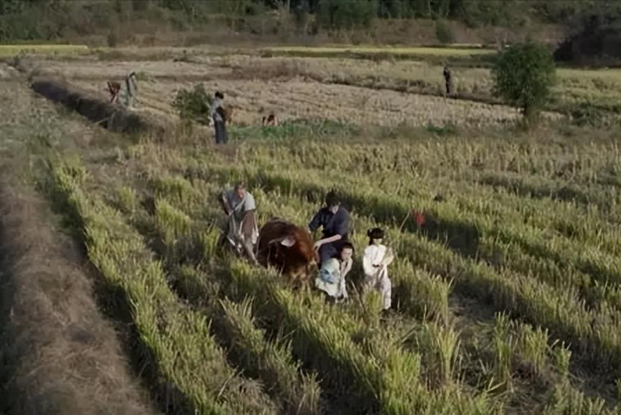 杨玉环容貌复原图像谁,杨玉环真人长相复原图