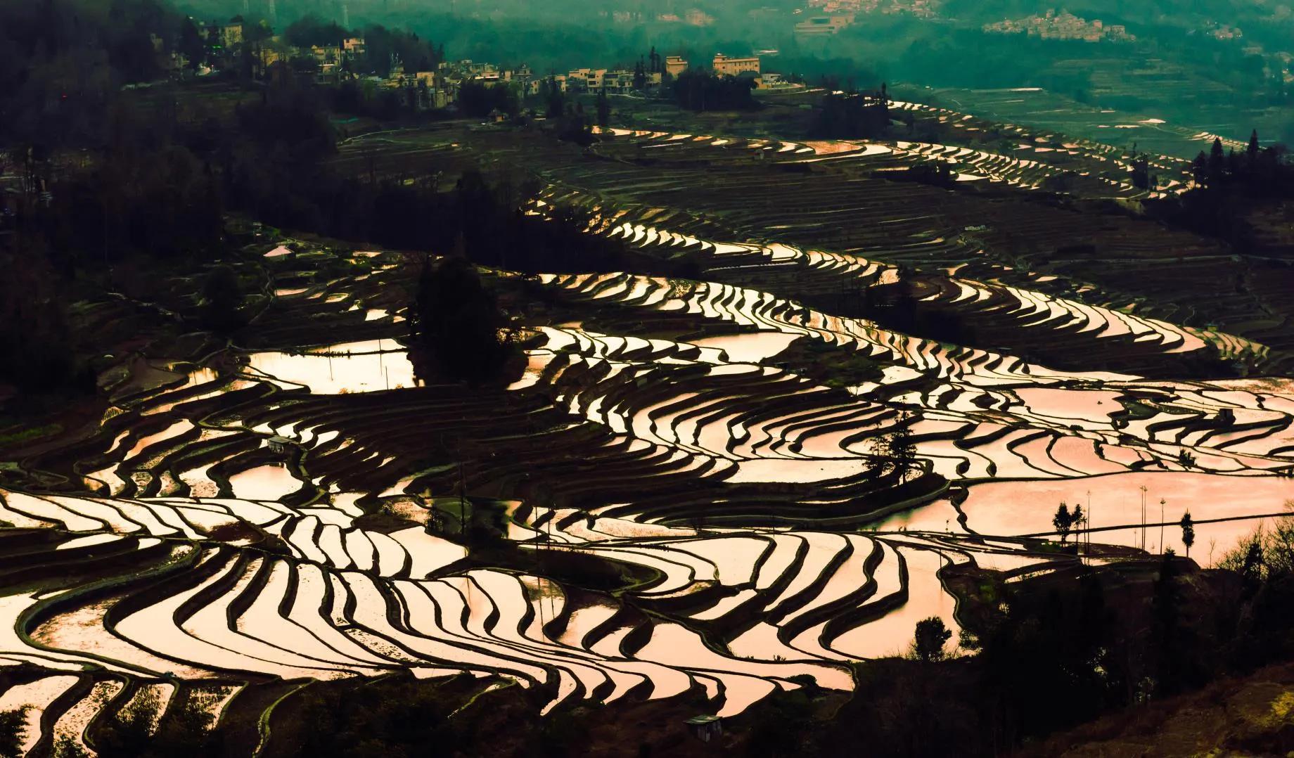 西双版纳10日行——走遍春夏秋冬，总会有人四季等你。