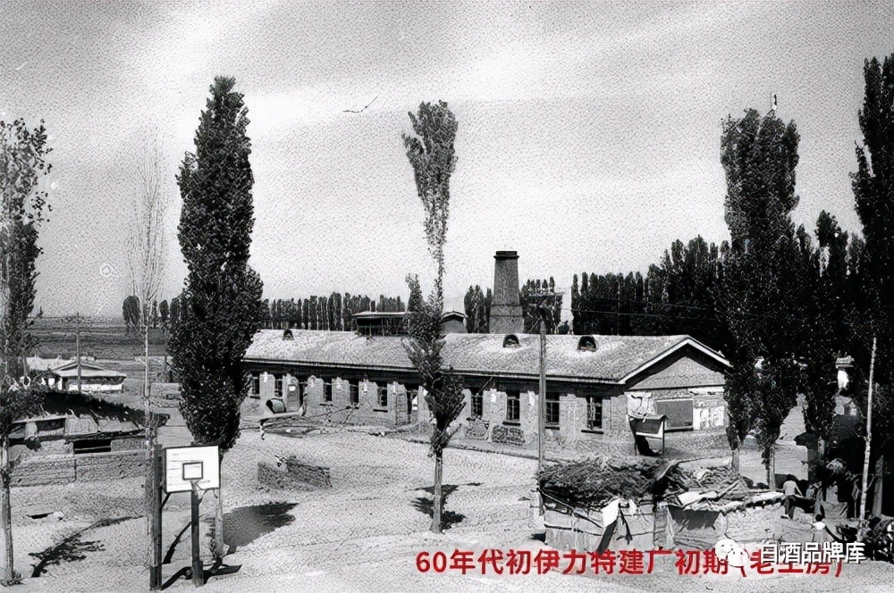 新疆伊力特最新分析,新疆伊力特酒厂最新消息