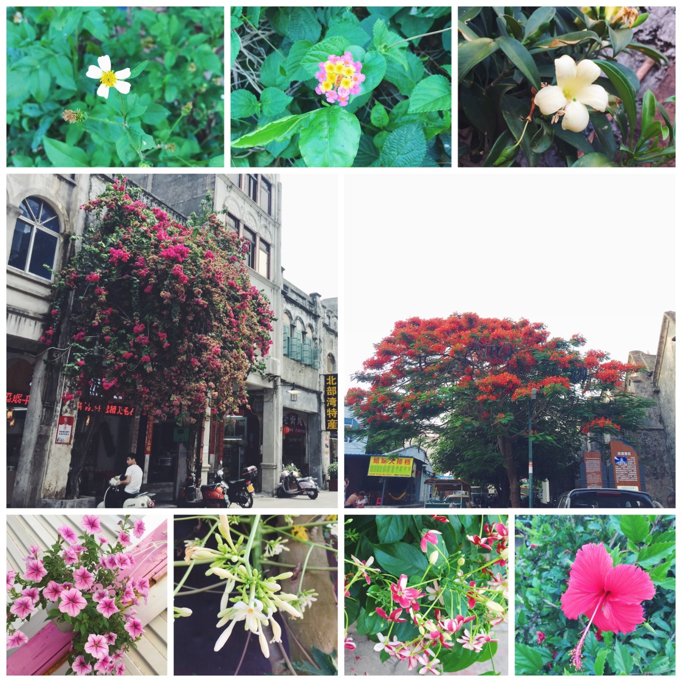 西安自驾北海6日游攻略,成都自驾北海6日游攻略