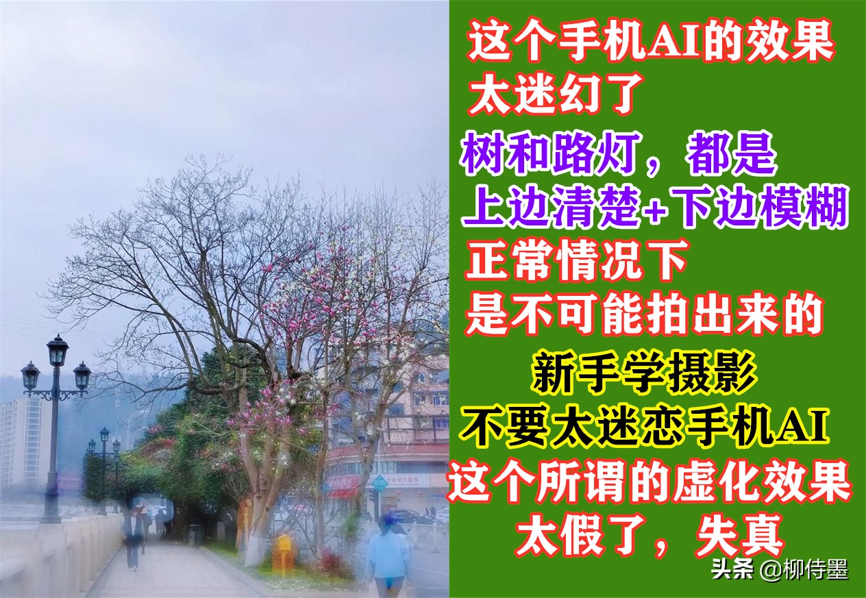 手机摄影照片细节拍摄技巧,手机摄影拍照的五大误区