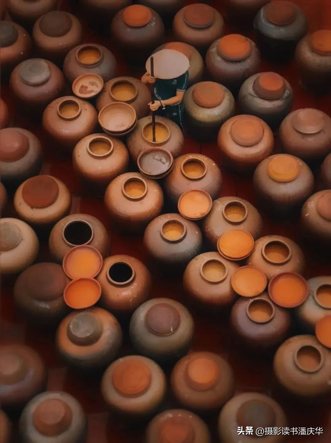 2020ippa摄影大赛获奖作品,ippa手机摄影大赛金奖