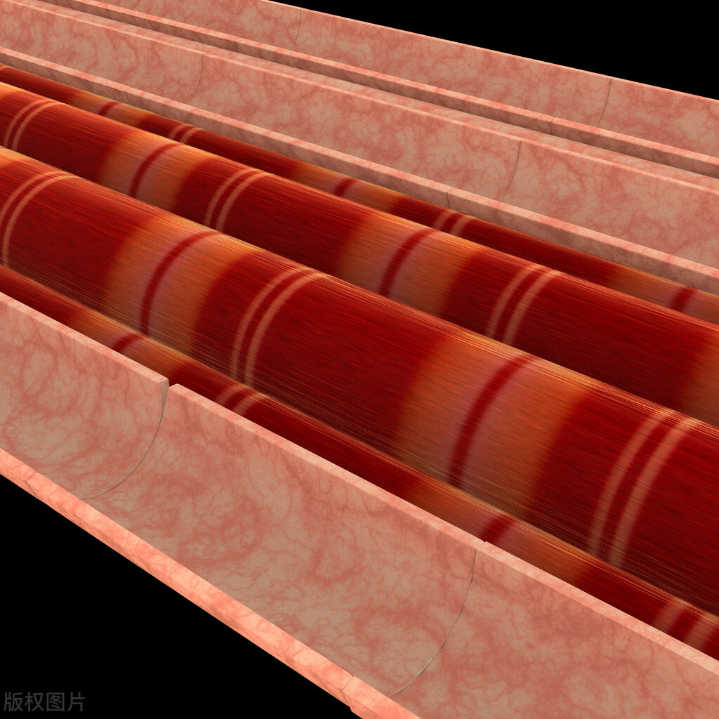 阴挺是啥病啊,什么叫阴挺病症