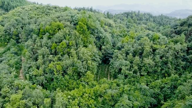 他只用了一星期，建成一座「可移动的房子」，上山下海睡遍世界