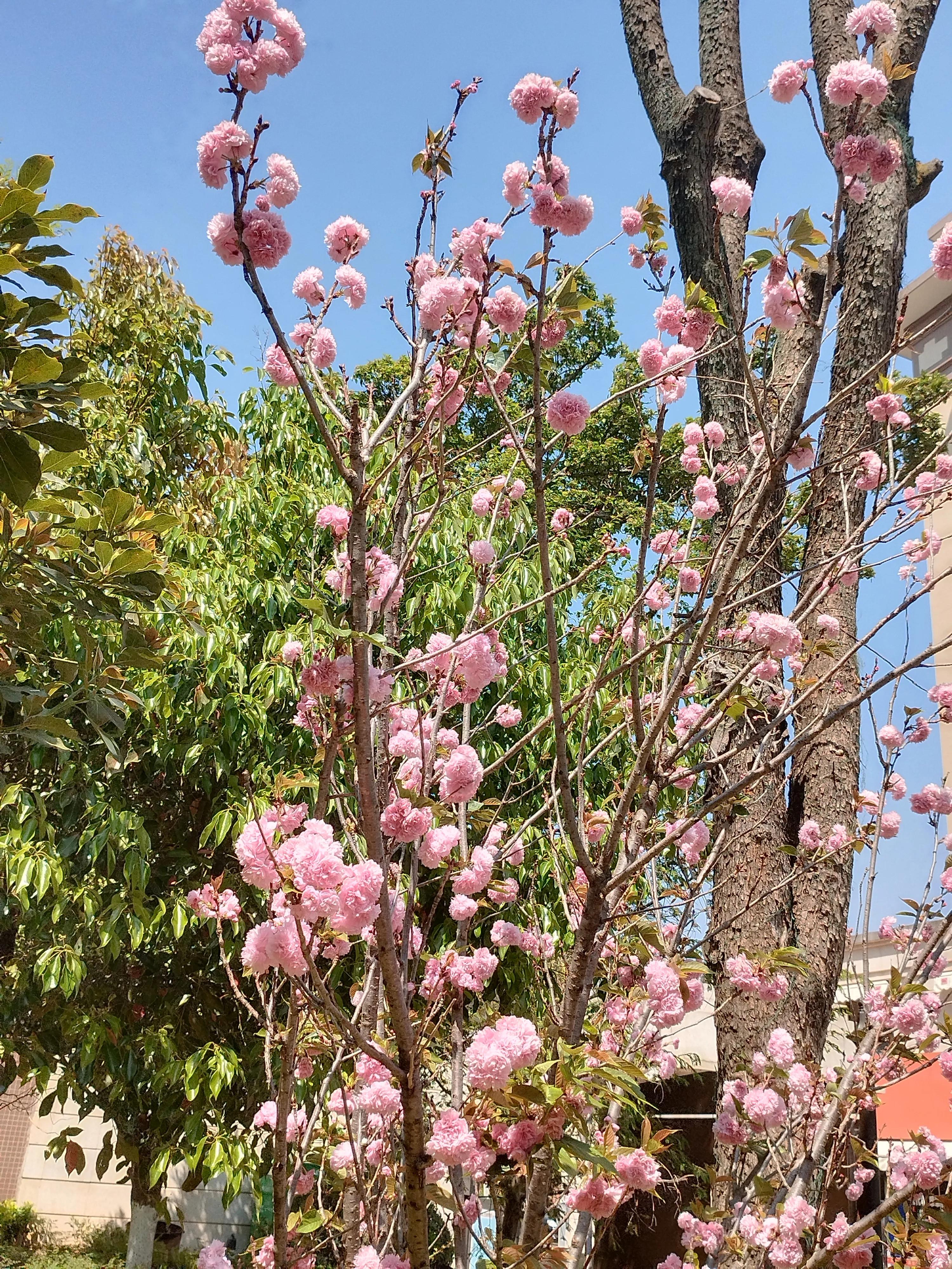 男人的简单快乐,简单才会更快乐