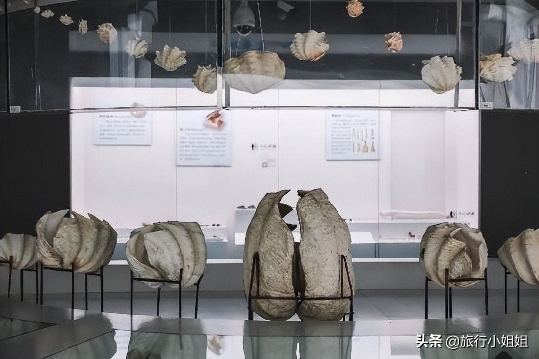 夏日海边微醺氛围感,滨城风光秀丽浪漫气息爆表