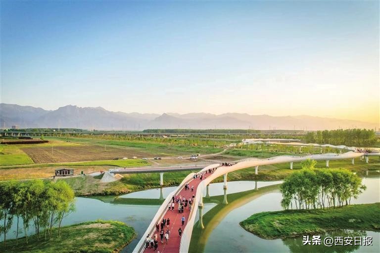 西安高科先锋,西安高科集团转型