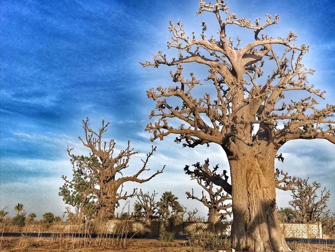 一起来看看真实的加纳,塞内加尔真实感受