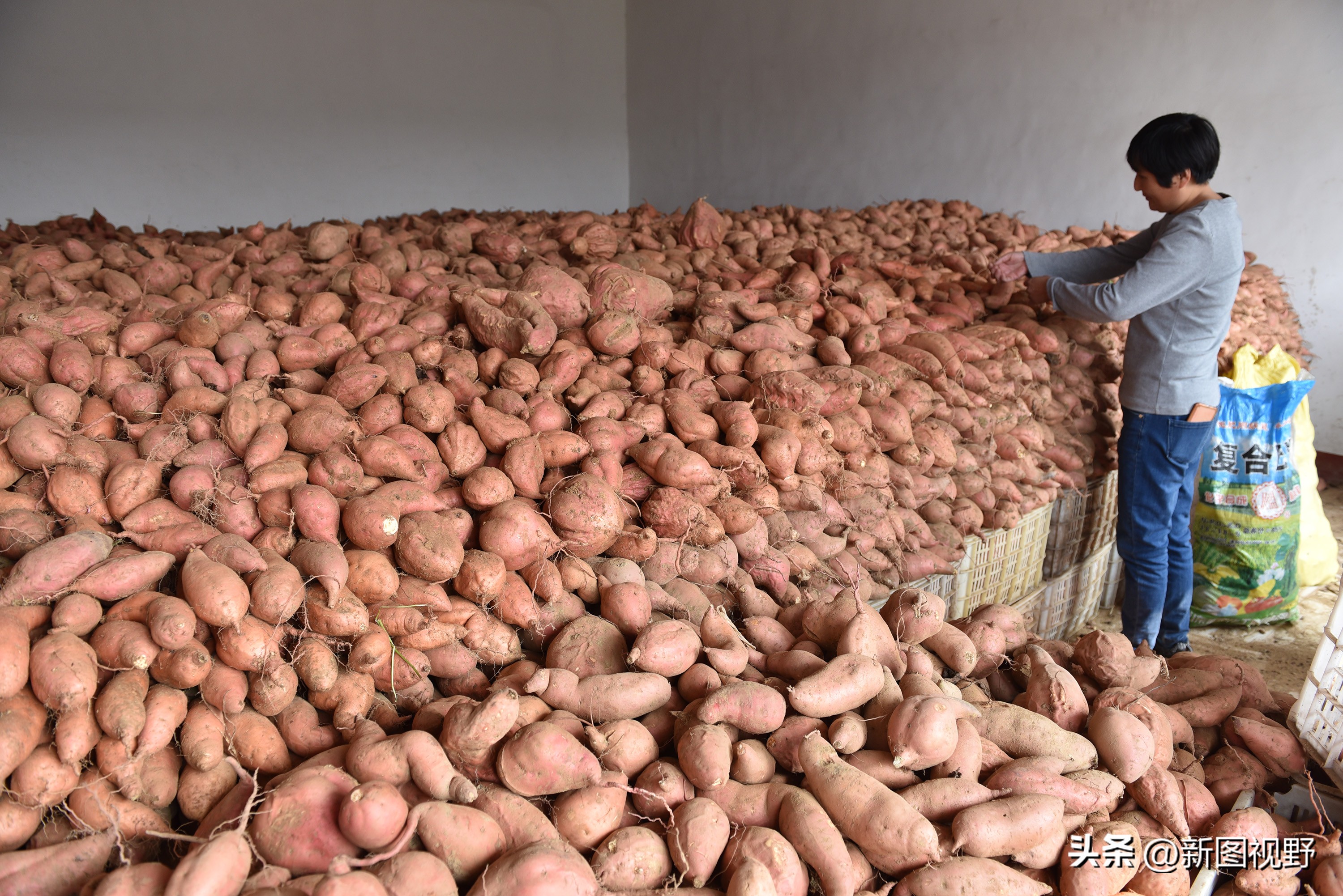 农村大姐靠什么赚钱,43岁农村大姐一天挣90元