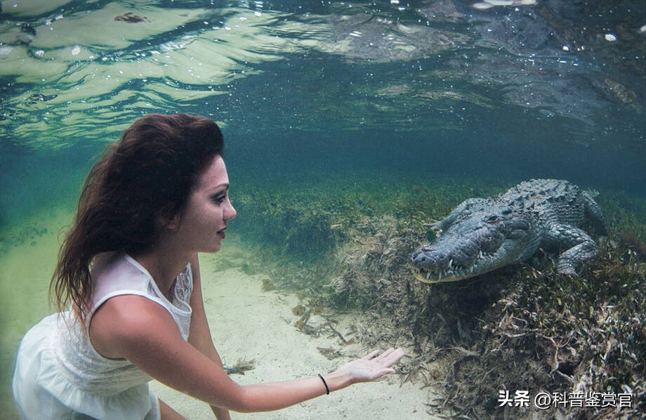 水上乐园人工造浪如何避开,水上造浪泳池危险