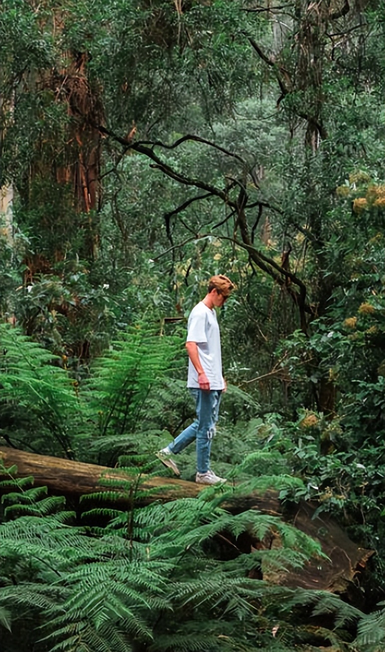 现代时尚生态木门风格,现代自然门