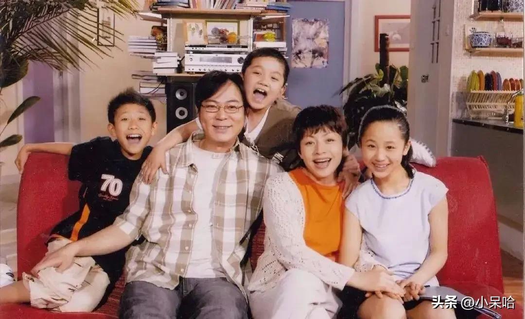 家有儿女乡村爱情故事,家有儿女第二部最受欢迎的有哪些