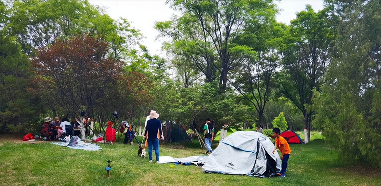 银川黄河边露营攻略,银川自驾帐篷露营地点推荐