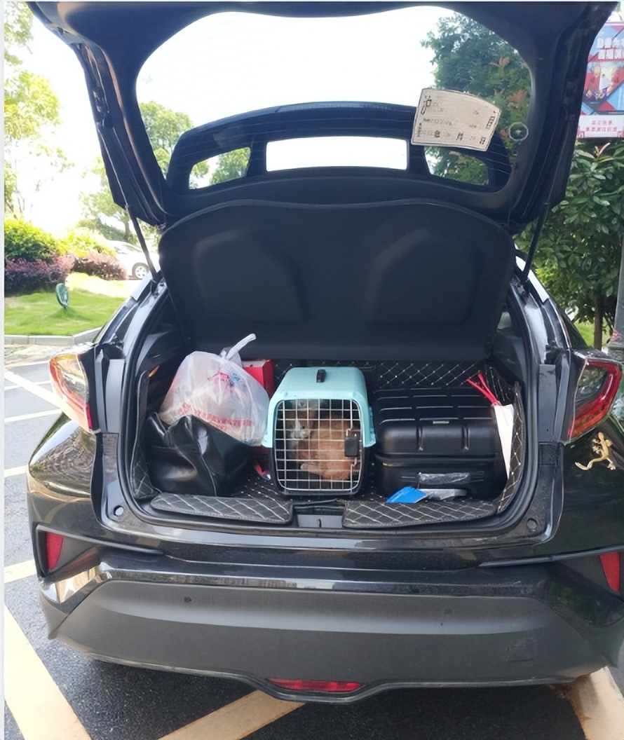 镖滴打车上线公告，2023年计划在15个城市上线小轿车跑腿送货业务