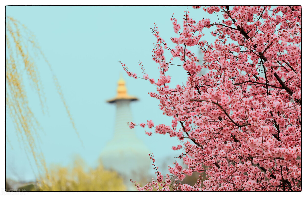 一首经典的写春天的古诗词,关于春天的古诗词有多少首