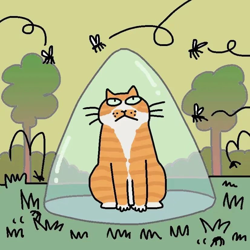 猫咪上火的症状和治疗方法,猫咪嘴巴上火起泡怎么快速消除