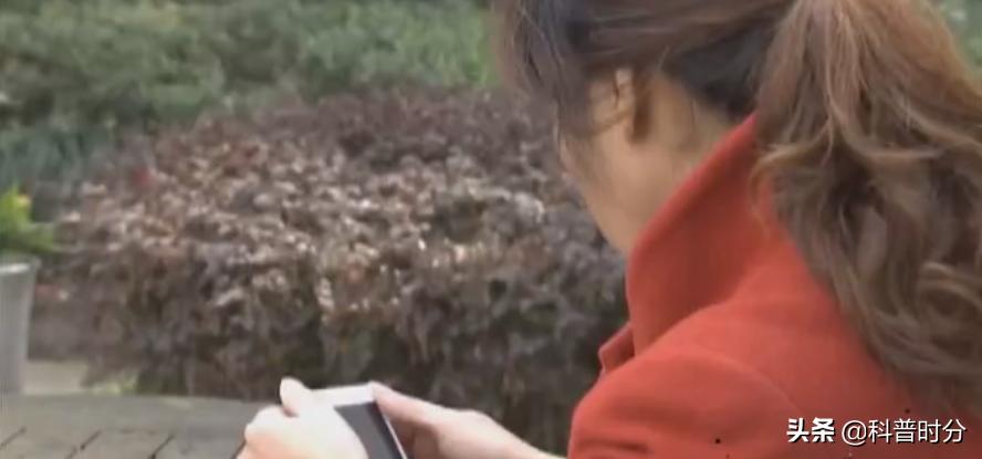 浙江丽水一女子骗婚,浙江16岁女孩骗走1400万