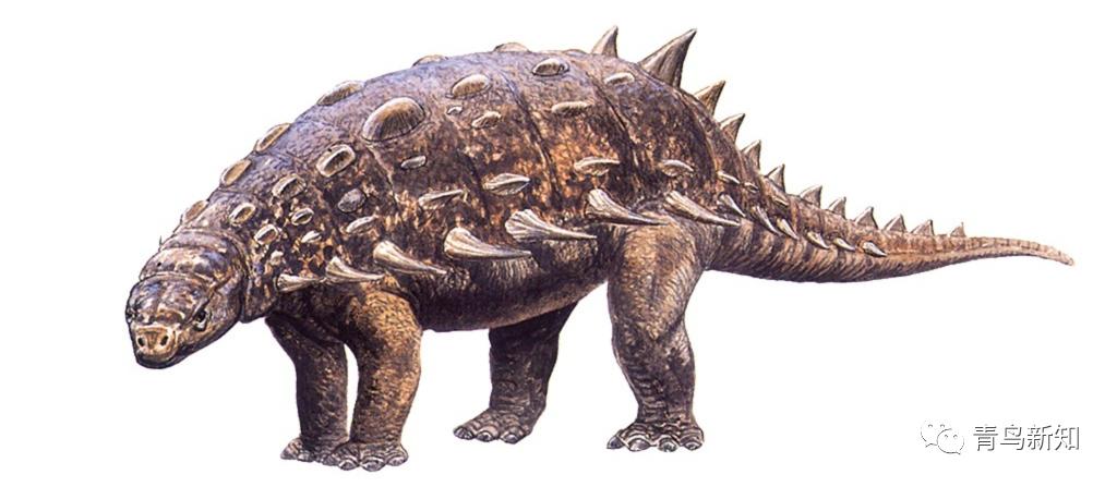 恐龙主题的铠甲可穿戴,恐龙战士怎么变身