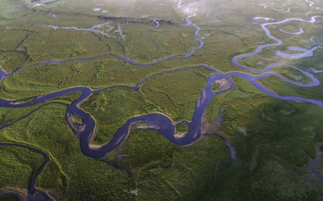 一个人成功其实很简单,要想成功的人必须要做到三点