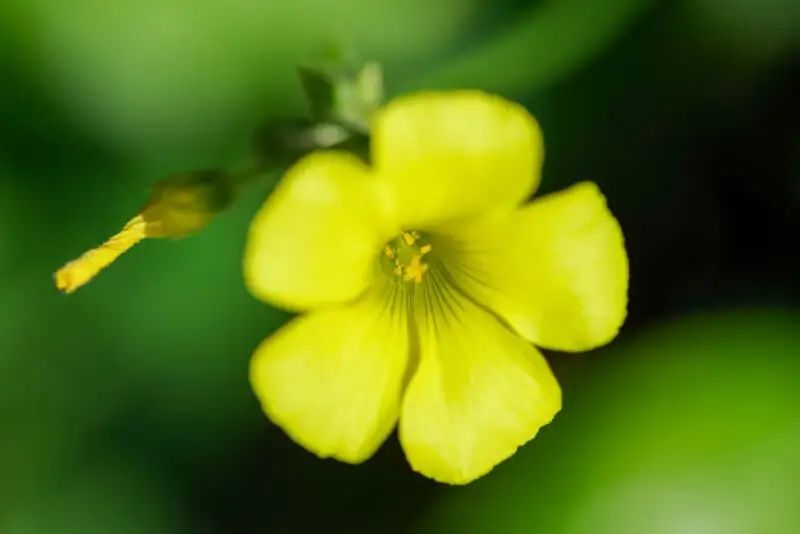 宾得新款16-50评测,宾得镜头18-135样片测评