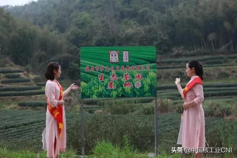 他们像“魔法师”处处化“腐朽”为“神奇”