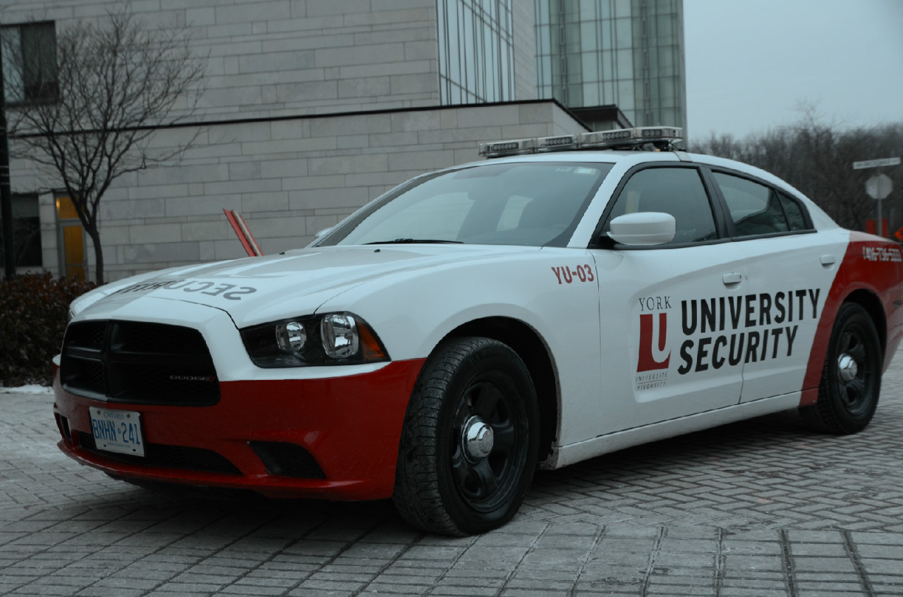 约克大学英国排名,加拿大约克大学和国内大学对比