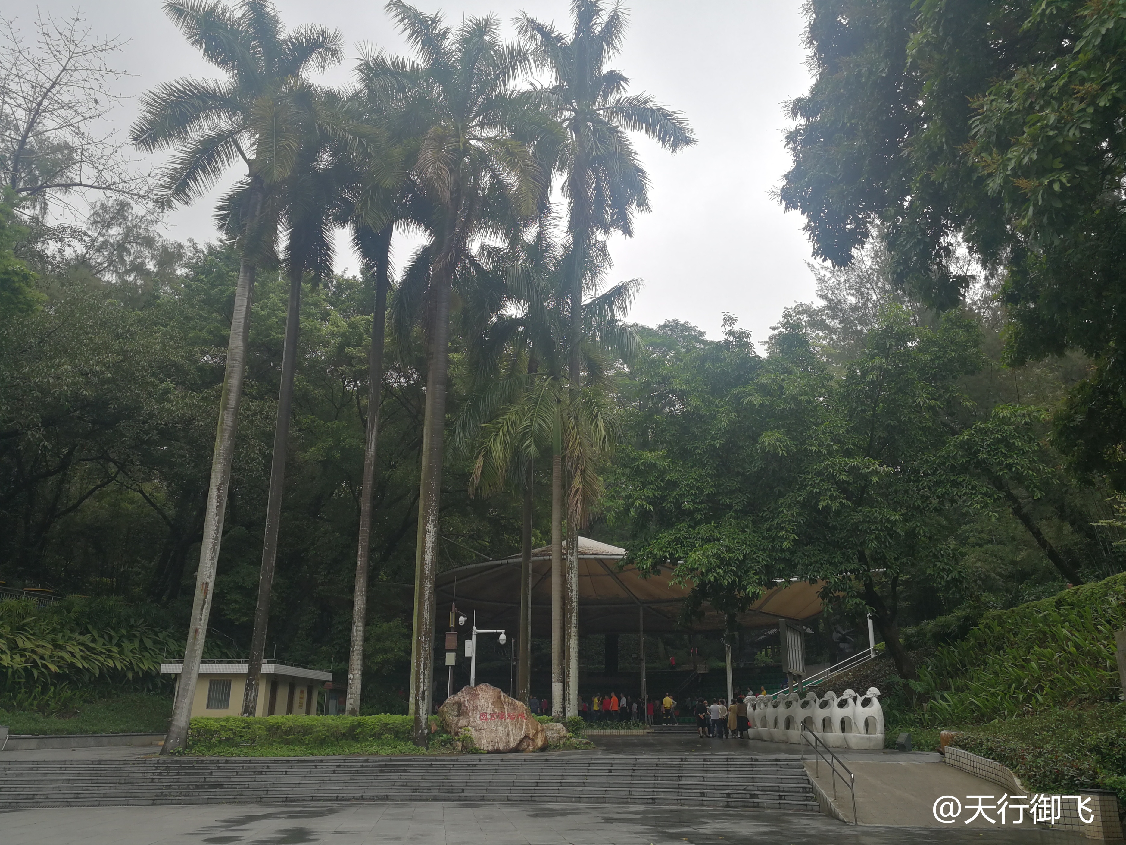 越秀公园游览最佳顺序,广州越秀公园旅游线路图