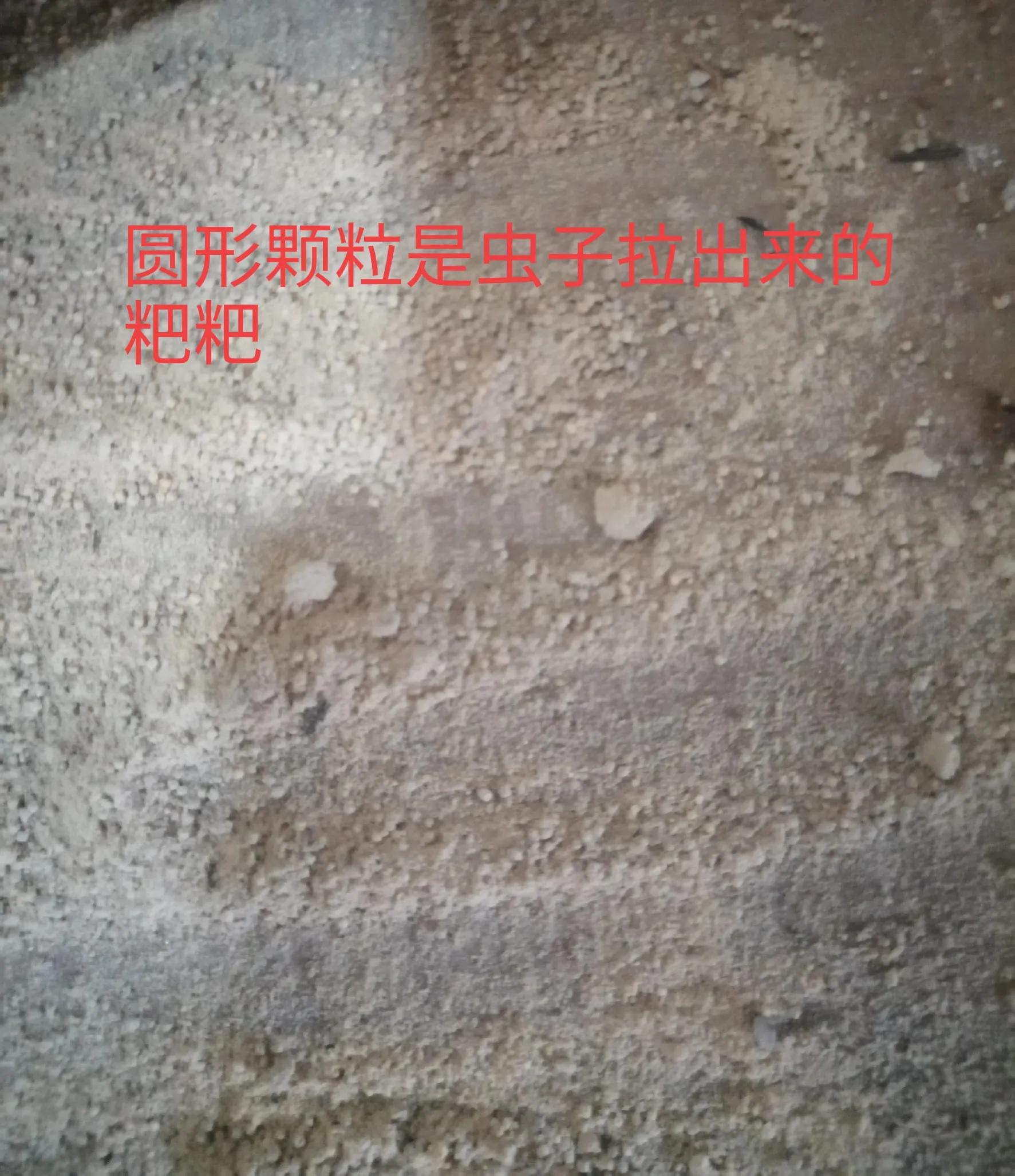 家里有木制品的注意了，一旦发现异响，千万不要掉以轻心