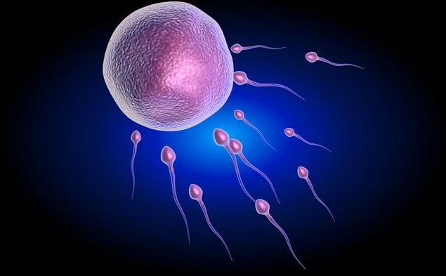 叶酸的功效与作用治萎缩性胃炎吗,叶酸对非萎缩性胃病有什么好处