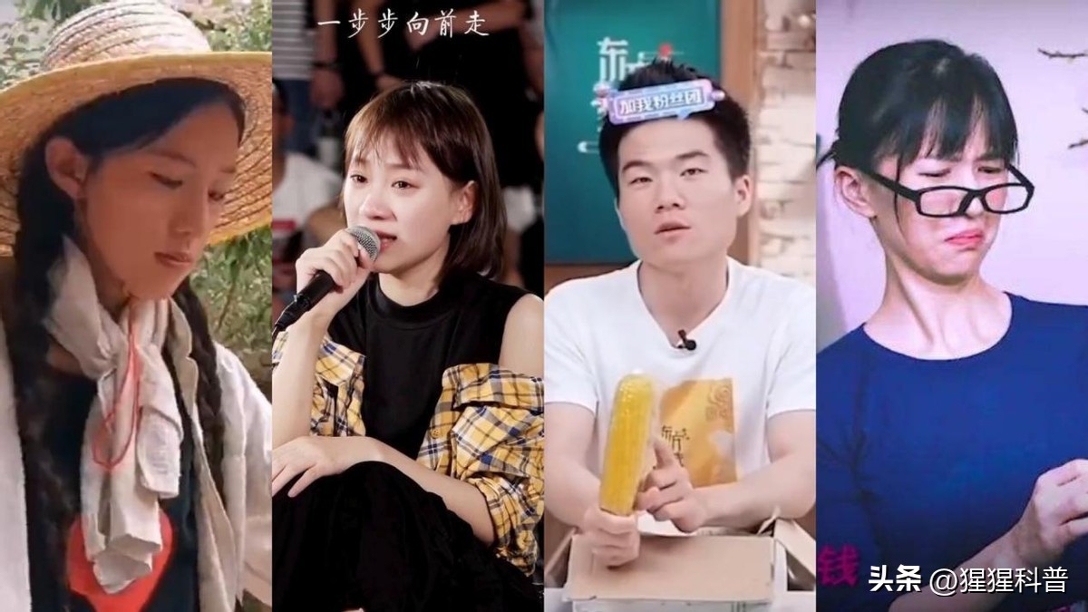 网红麦小登为啥排第二,麦小登网红排行榜