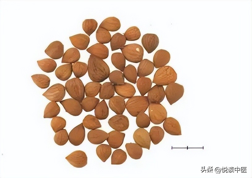 治疗咳喘的中成药颗粒,治疗长期咳喘的中成药有哪些