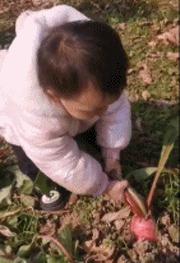 神回复：老鼠贴粘到的，吃了不会犯法吧？网友：自首，争取死缓