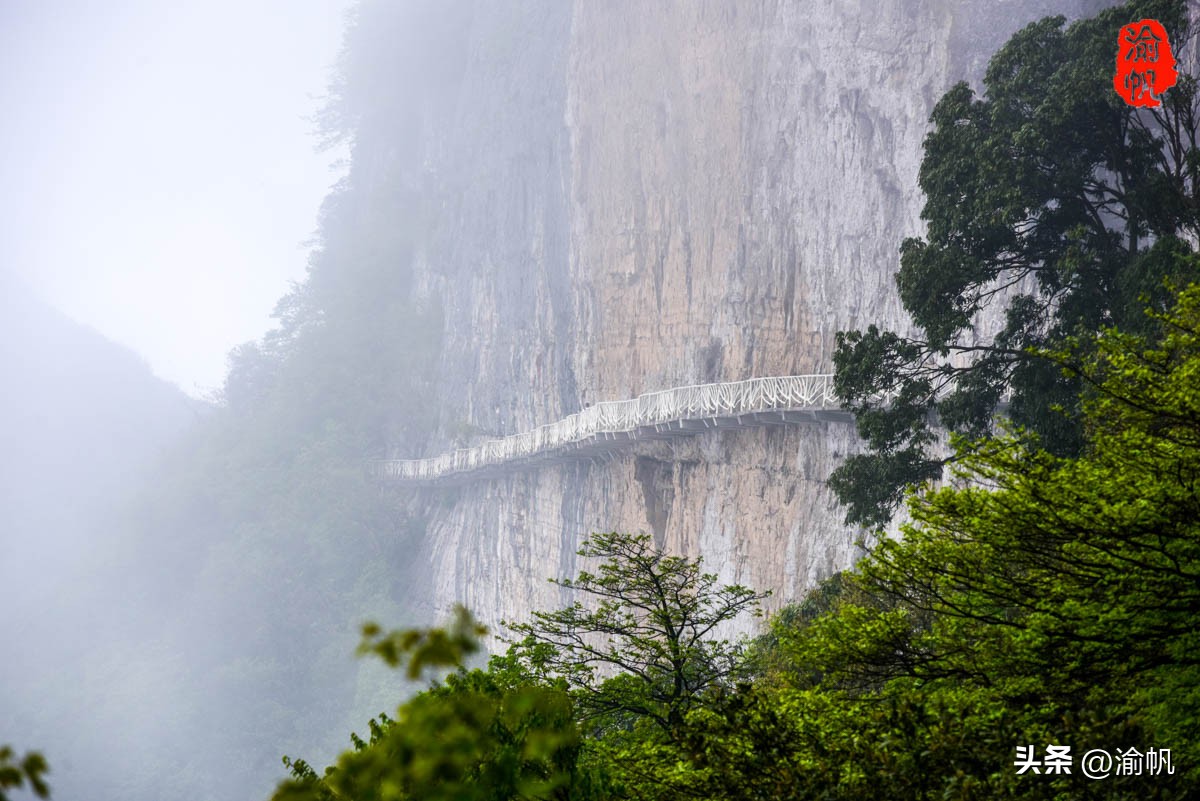 重庆的热门风景好的山,重庆哪座山最适合看城区风景
