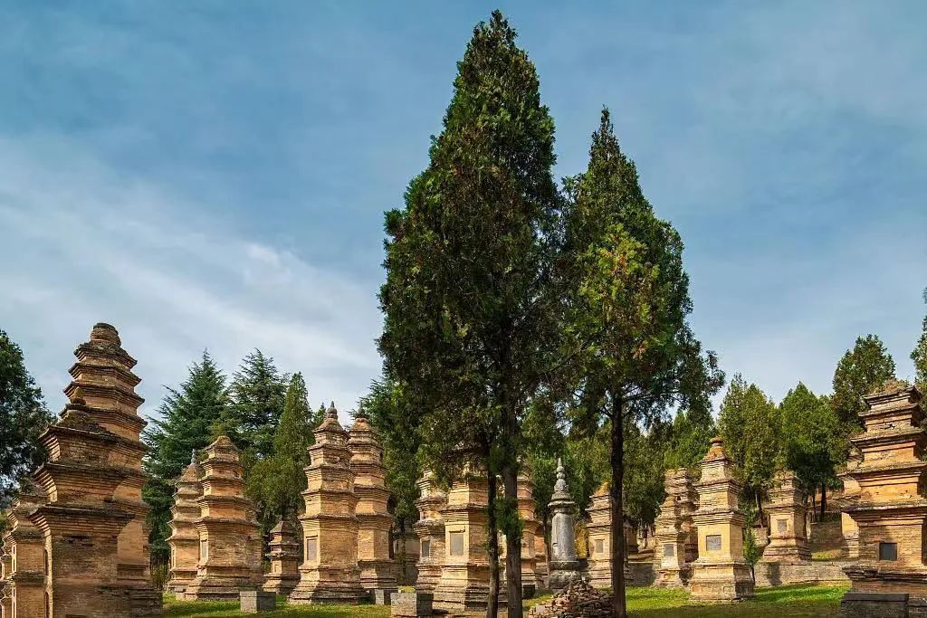 每年收入高达1000万英镑？试解少林寺的全球文旅版图