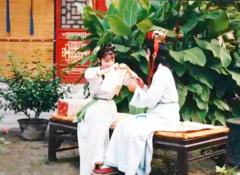 晴雯不让黛玉进门宝玉踹晴雯,晴雯赶走贾母为何不救