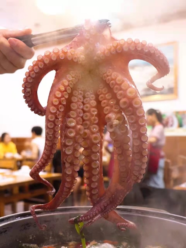 英国呼吁禁止活煮螃蟹,英国拟禁止煮活螃蟹